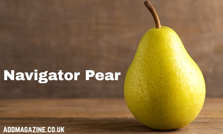 Navigator Pear