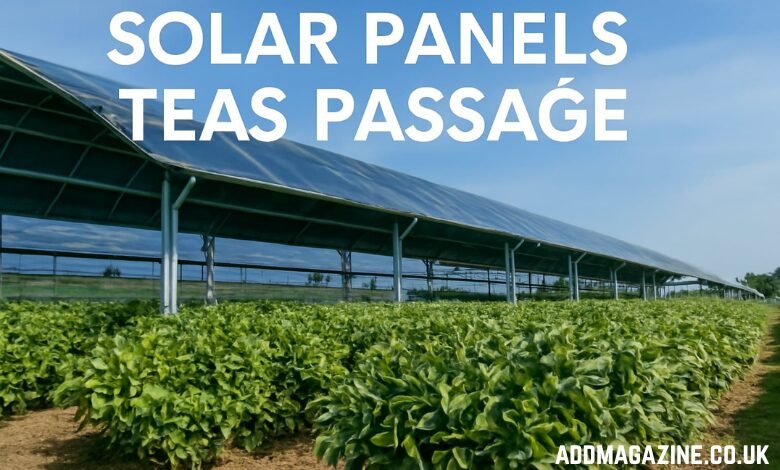 Solar Panels Teas Passage: A New Era of Sustainable Tea Farming