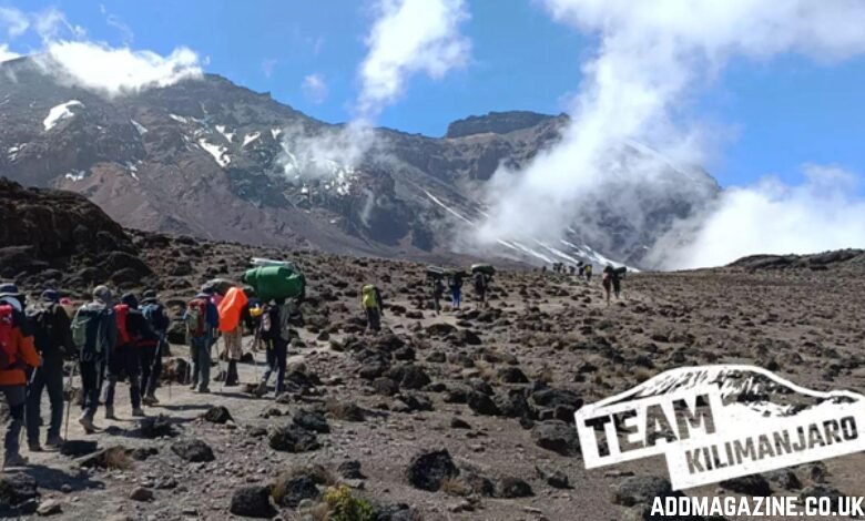 Kilimanjaro
