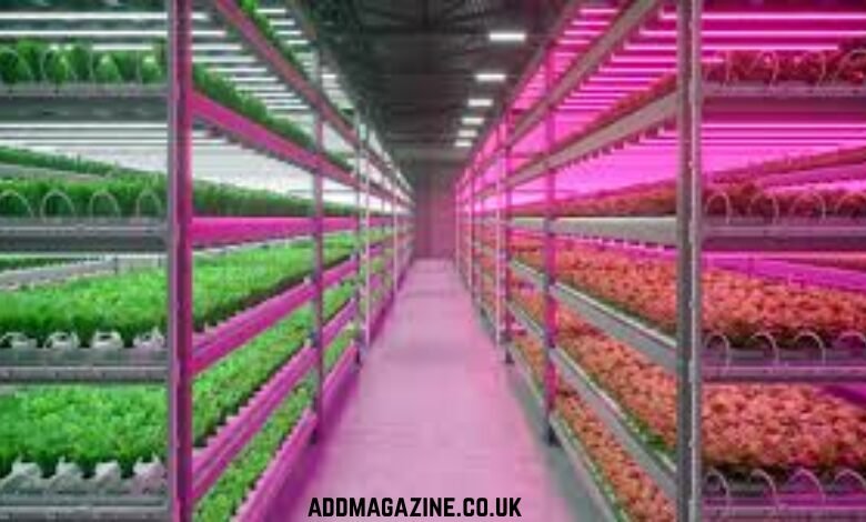 How Ceramiclite Agricultural Lighting Is Transforming Modern Farming