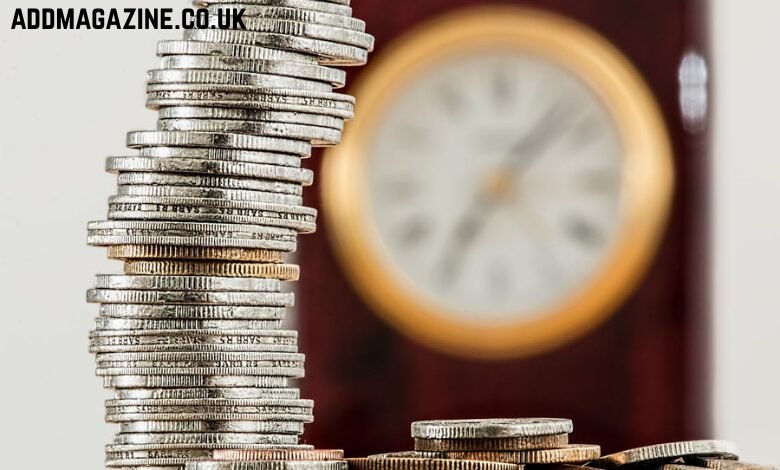 dog grooming in Wilmington, NC