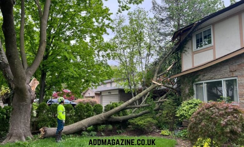 Understanding the Importance of Storm Restoration for Property Protection and Safety