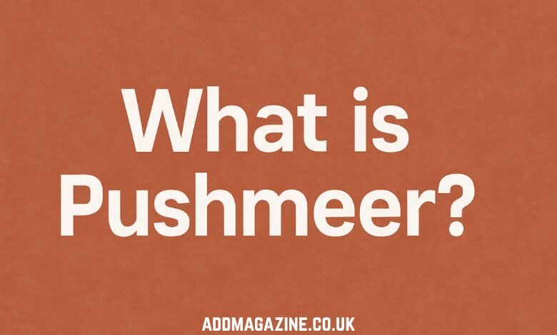 What is Pushmeer