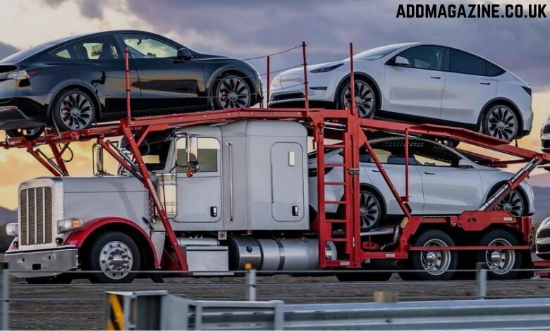 reputable car shipping experts