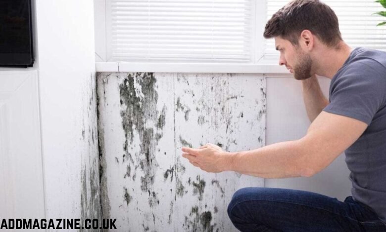 housing disrepair claims