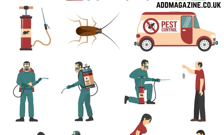 pest control Colchester