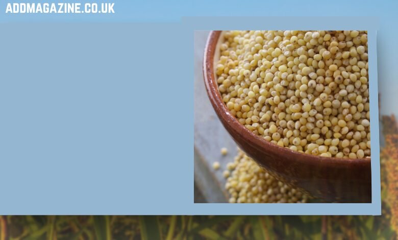 Rala for Birds: A Comprehensive Look at the Best Supplements for Avian Care