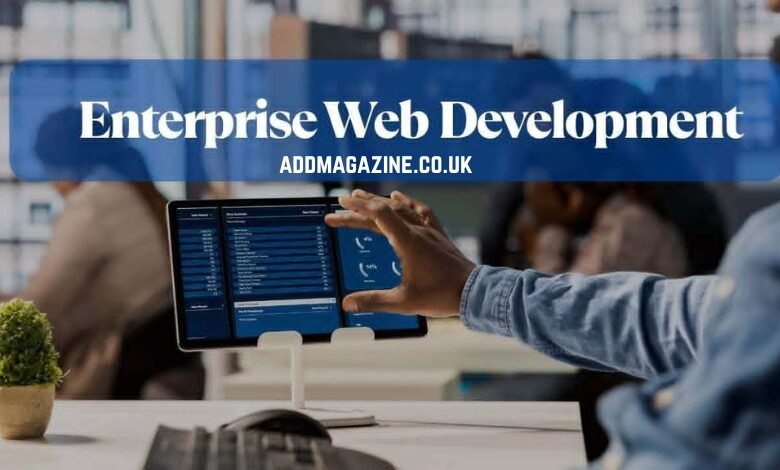 enterprise web development
