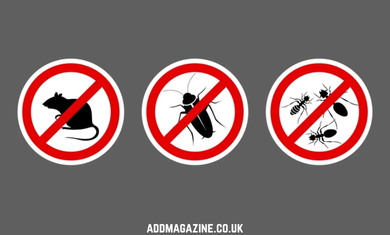 Anticimex 3D Sanidad Ambiental / WiseCon Estrategia de Consolidación