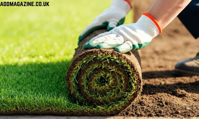 Streamline Landscape