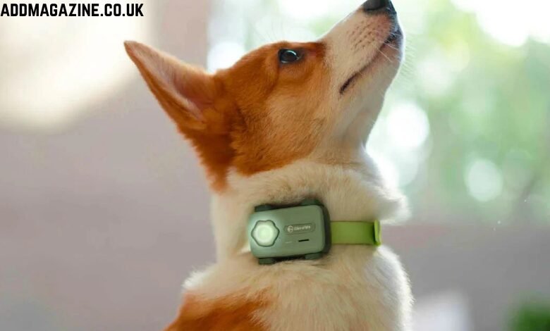 Kippy Dog GPS Tracker