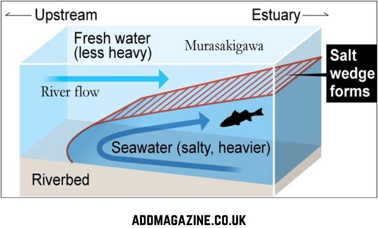 When Two Seas Meet But Do Not Mix