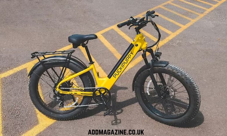fat tire e-bikes