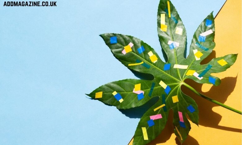 medical cannabis for adhd uk