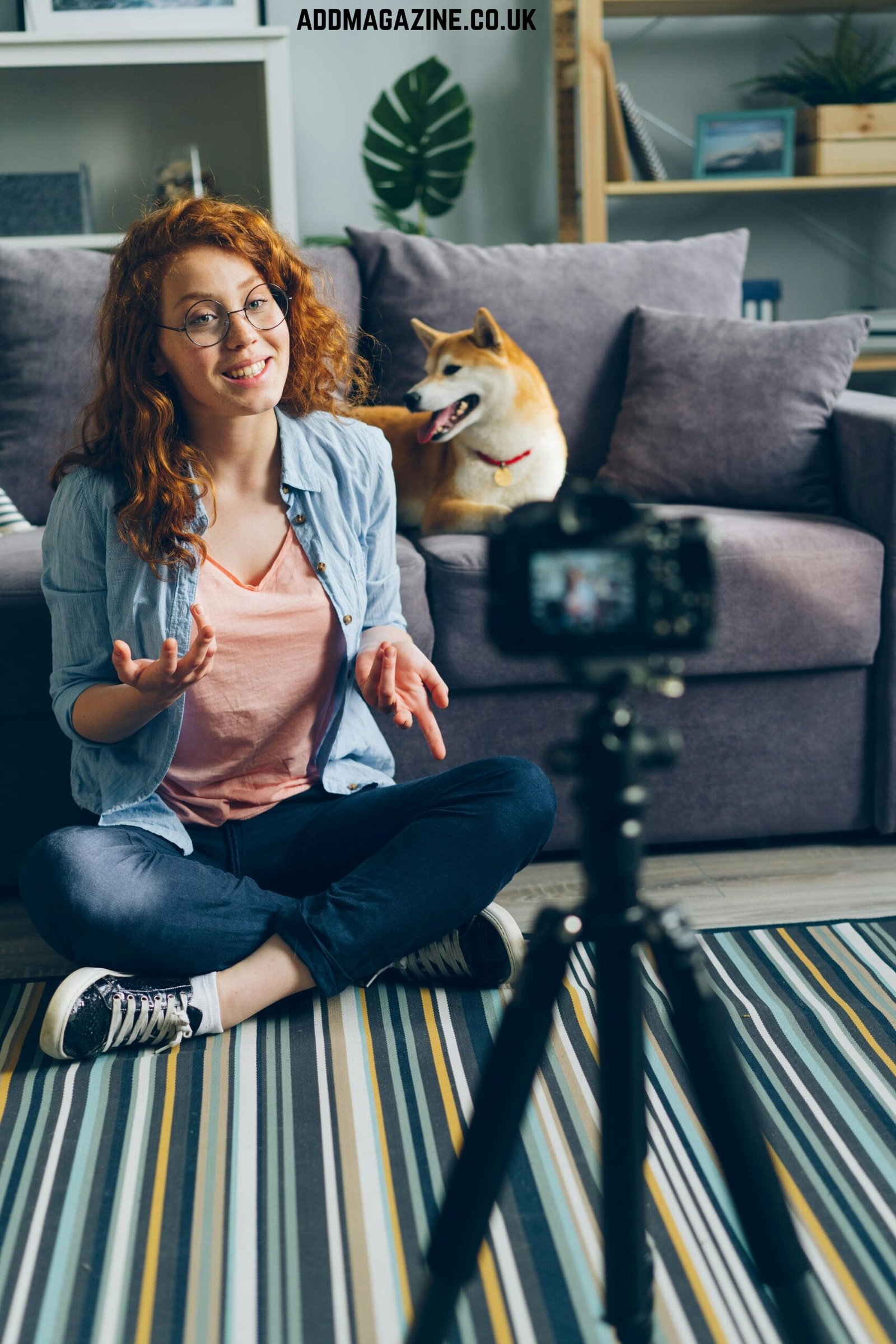The Rise of Pet Influencers and What It Says About Modern Lifestyles
