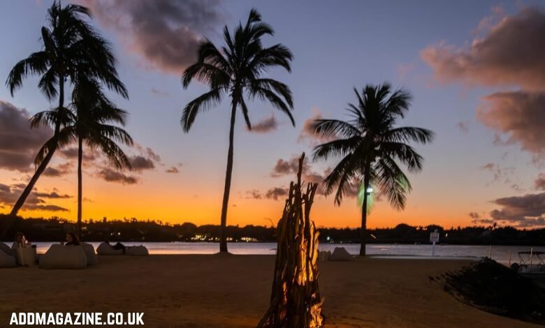 incentive travel companies