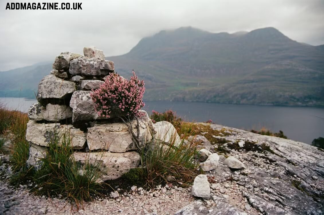 A scenic stone cairn surrounded by purple blooming heather along a hiking trail in the Scottish Highlands