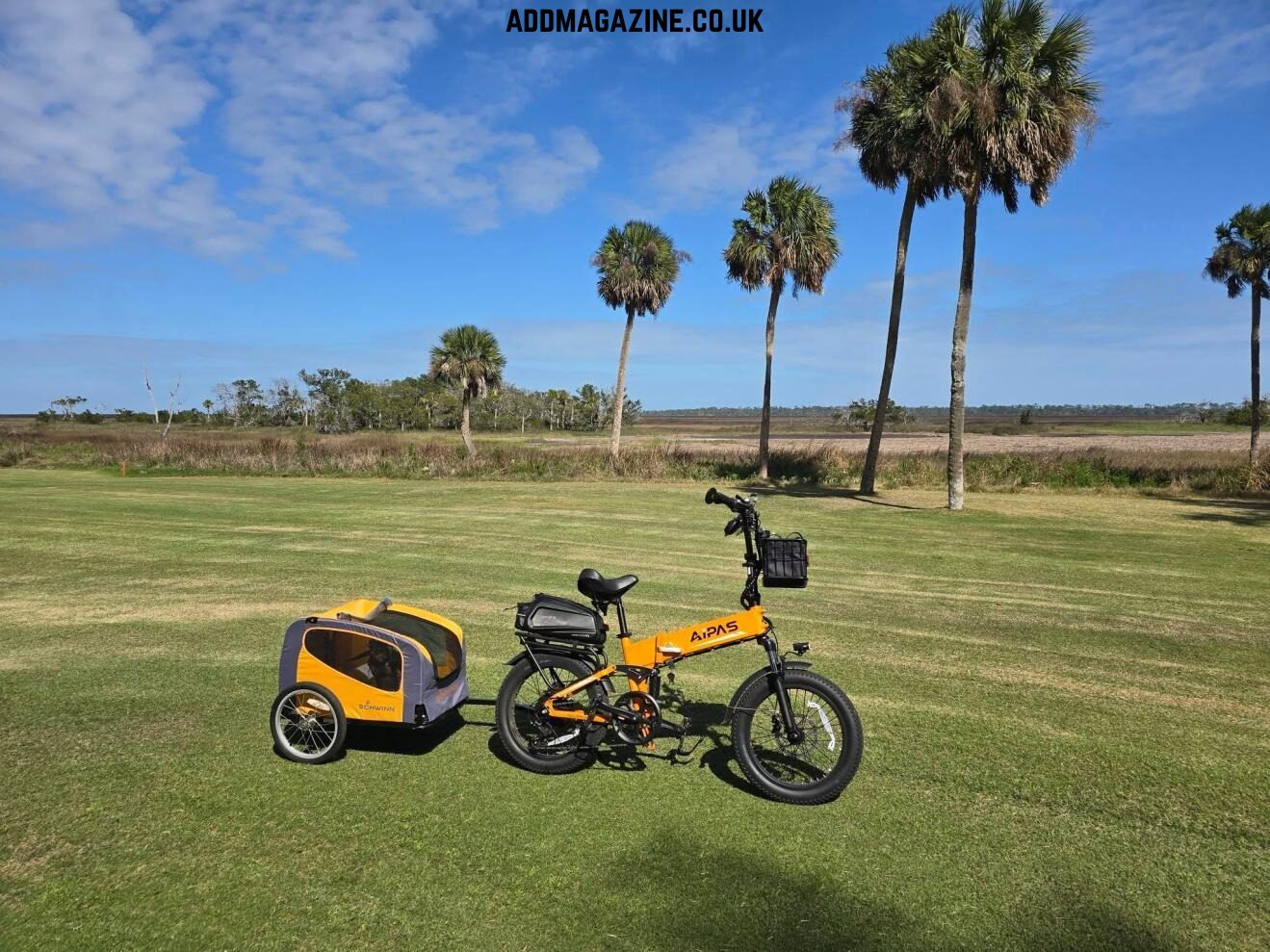 folding ebikes
