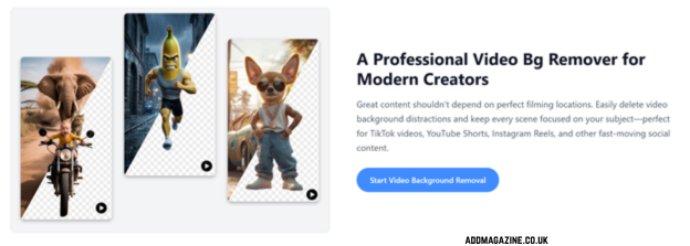 Remove Video Background