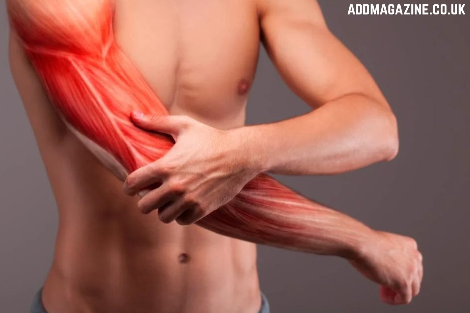 Body Repairs Muscle