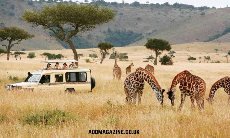 luxury African safari